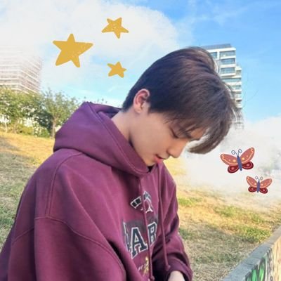 #SVT🩷🩵 ⋆.˚˙ִֶָ𓂃 ࣪˖ ִֶָ་ a #디노나라🦖 & #8STAR🐸 ˖ ִֶָ་ always hyping 0T13💎💫💐*・:・今日を経て明日に巡り会う喜び・:・*💥