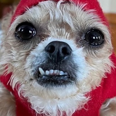 Jennifur85's profile picture. Fly Girl. opinions are my own.