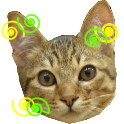 mi_ki_t's profile picture. 