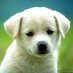Aravind (@aravindbng143) Twitter profile photo Aravind (@aravindbng143) Twitter profile photo