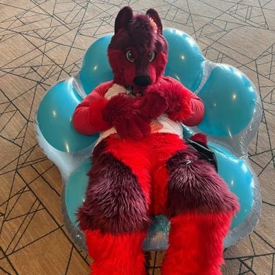 rosewolfy3's profile picture. oklahoma fur car enthusiasts truck driver just enjoying life as it comes 
https://t.co/KNDY4pAGav