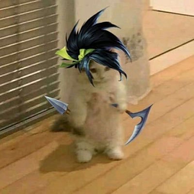 岩﨑 海舟さんのプロフィール画像