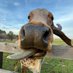 Bullish108 (@bullish108) Twitter profile photo Bullish108 (@bullish108) Twitter profile photo