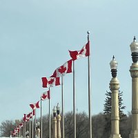 Trevor 🇨🇦 (@latenite72) 's Twitter Profile Photo Trevor 🇨🇦 (@latenite72) 's Twitter Profile Photo