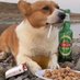 Wingmeal (@wingmeals) Twitter profile photo Wingmeal (@wingmeals) Twitter profile photo