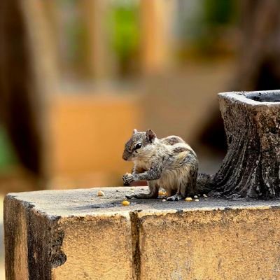 shubhampiku's profile picture. Account was hacked before so ignore all posts before 29th july 2023