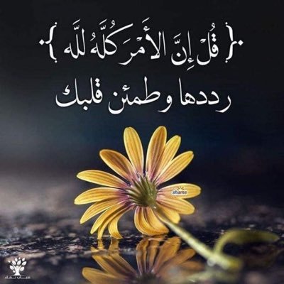 ليس المهم ان نتفق في وجهات نظرنا المهم ان يحترم كل منا الاخر وتبقي مساحة الاختلاف متاحة للجميع ليس يهمني كم المتابعين قدر ما يهمني اثراء صفحتي بتغريداتهم