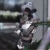 レイラ (@leylagrace_ff14) Twitter profile photo レイラ (@leylagrace_ff14) Twitter profile photo