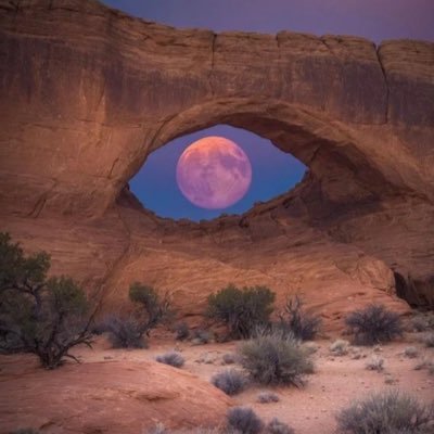 ExpressAtlas's profile picture. crypto man  btc ❤️