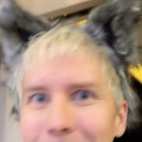 wolfy ‧˚꒰🐾꒱༘⋆ (@halfpholf) 's Twitter Profile