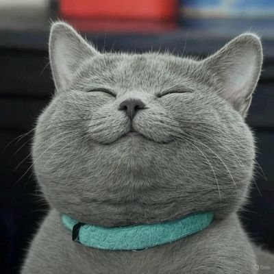 Pierre_581's profile picture. ~𝘚𝘰𝘮𝘰𝘴 𝘭𝘢𝘥𝘳𝘰𝘯𝘦𝘴 𝘦𝘯 𝘶𝘯 𝘮𝘶𝘯𝘥𝘰 𝘲𝘶𝘦 𝘺𝘢 𝘯𝘰 𝘯𝘰𝘴 𝘲𝘶𝘪𝘦𝘳𝘦🍂