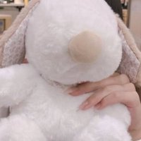 コマツ (@comatu7) 's Twitter Profile