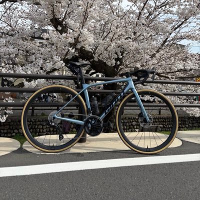 kamase54293727's profile picture. 日大生2年 GIANT TCR Advanced Pro 1