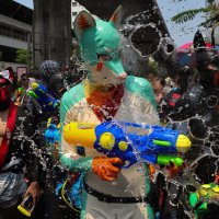 B_Puppyfox🦊 (@rubberfoxfelix) 's Twitter Profile