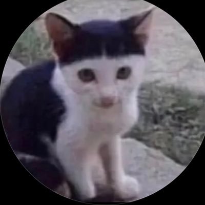 lili99_3's profile picture. استغفرالله