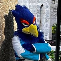 Falco Lombardi (@stargang_) 's Twitter Profile Photo
