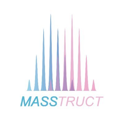 Masstruct Profile