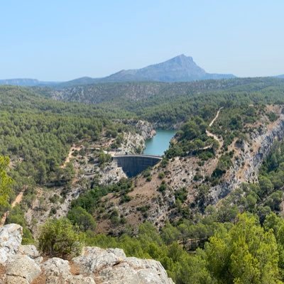 leogiraud13's profile picture. 