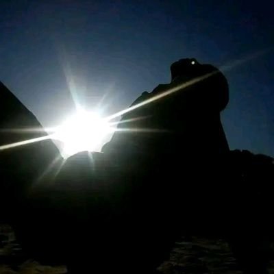 chelseatz5's profile picture. bolt driver

shabiki la chelsea

muuza mitumba