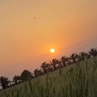 ramin90055 (@jafar90055) 's Twitter Profile