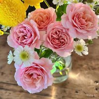 Ibrahim 1988 (@sass159753) 's Twitter Profile