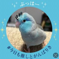かぴ (@kapibaraonsenko) 's Twitter Profile