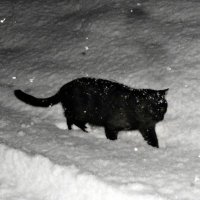 duck duck (@duwang233) 's Twitter Profile Photo duck duck (@duwang233) 's Twitter Profile Photo