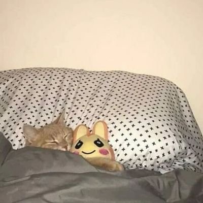 Anabeatrizdss's profile picture. Continue a nadar