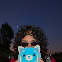 Dani Vallecillo 🇵🇸 (@vallecillo_jd) 's Twitter Profile