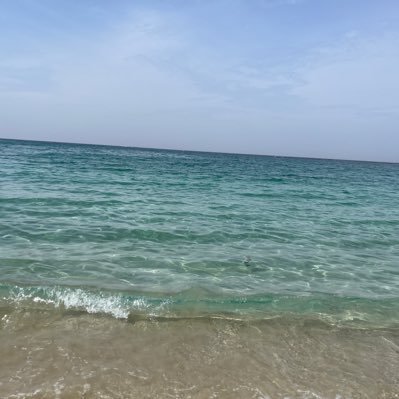 Quirochp's profile picture. 最近VRChatにドハマりしてる現役高校生（1年生） 150cmのチビ賀上 海斗 （2つ名犬井 莉月） 莉犬くん推し サブ@h52YoMHkBEXCdzQ