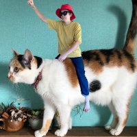長谷川貴子@古民家暮らしイラストレーター (@carrs0123) 's Twitter Profile Photo 長谷川貴子@古民家暮らしイラストレーター (@carrs0123) 's Twitter Profile Photo