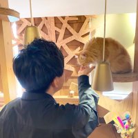 ひろ🐈 (@free_life11) Twitter profile photo