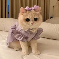 ✨️ (@meblidiyelim) 's Twitter Profile Photo ✨️ (@meblidiyelim) 's Twitter Profile Photo