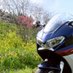 ぴよ@VFR800F (@piyokovfr) Twitter profile photo ぴよ@VFR800F (@piyokovfr) Twitter profile photo