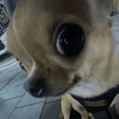 una random que le gusta cualquier cosa que exista💖, masomenos si es algo malo pus no xd💫