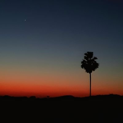 praja_dharm's profile picture. 💯 % follow back ,
M.A History