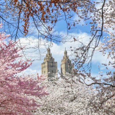 thanks39Hana's profile picture. Plz don’t follow me, Sorry. NYC / Tokyo