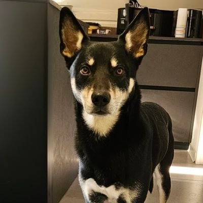 LoveFrdr61260's profile picture. 