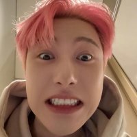 ꙳╰ฮิปโปอ้วม ⸝ ⟡ 프렘 ✨ (@iamframehyun) 's Twitter Profile
