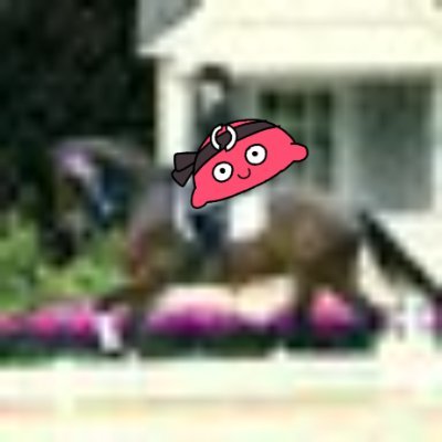 ChampsHorses's profile picture. Wanting to share my love and passion for horses ❤ please follow