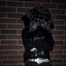 mqske (@mqskefn) Twitter profile photo mqske (@mqskefn) Twitter profile photo