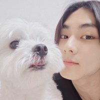 arwen ♡ (@woniesmochii) 's Twitter Profile