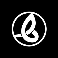 HadiType Foundry (@haditypefoundry) 's Twitter Profile