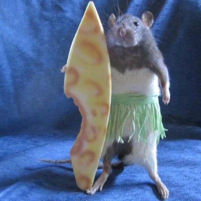 ElBartoun's profile picture. 26yo