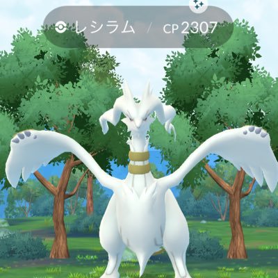 shota1222222's profile picture. ポケモンGOやってます赤チームです レベル45 大阪住み