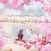 گل یاس (@glrz274241) Twitter profile photo گل یاس (@glrz274241) Twitter profile photo