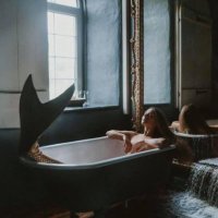 Strandgut (@nord_licht_) Twitter profile photo