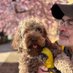 David Goldfarb (@locust9) Twitter profile photo David Goldfarb (@locust9) Twitter profile photo