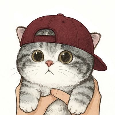 猫叔讲故事
