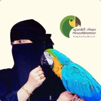 ميعاد الشمري (@me3ad_f16) 's Twitter Profile